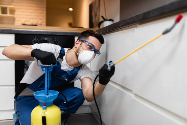 Best Mosquito Control Services  in Butner, NC