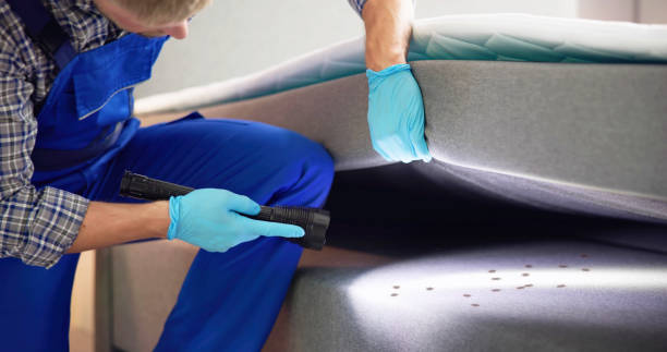 Best Best Pest Control Companies  in Butner, NC