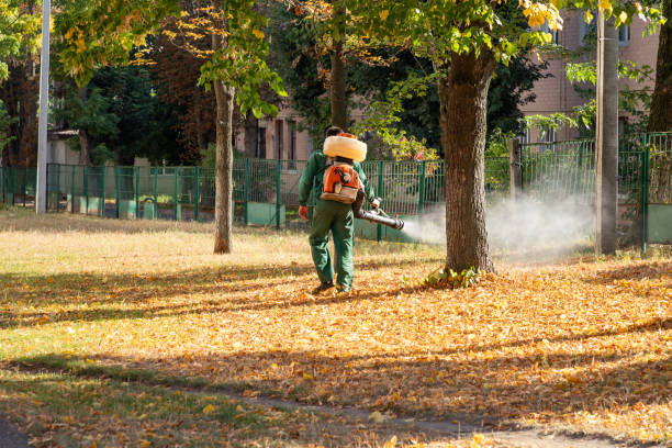 Best Termite Control Services  in Butner, NC